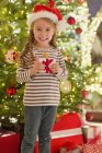 Ritratto sorridente ragazza in cappello Babbo Natale che tiene regalo davanti all'albero di Natale — Foto stock