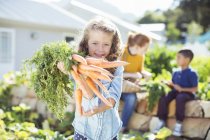 Девушка держит кучу моркови в саду — стоковое фото