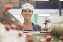 Porträt eines lächelnden Arbeiters, der Tomaten am Fließband einer Lebensmittelfabrik untersucht — Stockfoto