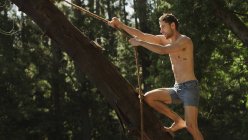 Junger Mann hält Seilschaukel in Baum — Stockfoto