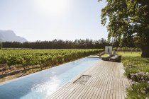 Розкішний басейн на колінах серед саду та винограднику — стокове фото