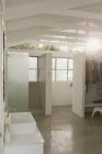 Сонячний білий сучасного будинку Вітрина інтер'єру ванної кімнати і шафа зі склепінчастими стелями — стокове фото