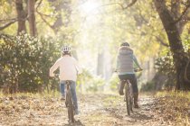 Mãe e filha de bicicleta andando no caminho na floresta — Fotografia de Stock