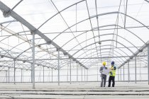 Architect and engineer reviewing blueprint in empty greenhouse — Stock Photo