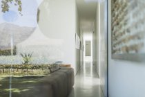 Стеклянные стены современного дома с видом на виноградник — стоковое фото