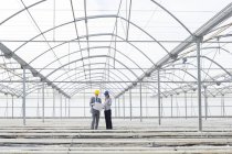 Architect and businesswoman in empty greenhouse — Stock Photo