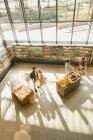 High angle view people grocery shopping in market — Stock Photo