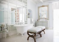 Garra banheira de pé no banheiro de luxo — Fotografia de Stock