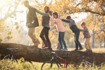 Famiglia che cammina in fila sul tronco caduto vicino alle biciclette — Foto stock