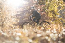 Junge radelt im Wald mit Herbstlaub — Stockfoto
