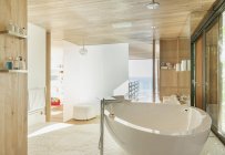Інтер'єр сонячної сучасної ванної кімнати — стокове фото