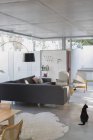 Schwarze Katze in Luxus-Haus Vitrine Interieur Wohnzimmer — Stockfoto