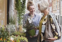 Fiorista che mostra fiori a shopper femminile in vetrina — Foto stock