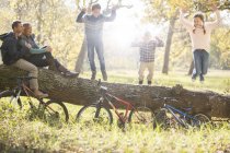 Familie spielt mit Fahrrädern auf umgestürztem Baumstamm im Wald — Stockfoto