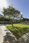 Sonnenschein wirft Baumschatten in Luxusgarten — Stockfoto