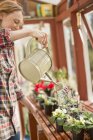 Mulher com rega pode regar plantas em vaso em estufa — Fotografia de Stock