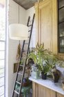 Escada, plantas e armários em casa rústica — Fotografia de Stock