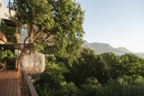 Malerischer Blick auf die Berge durch Bäume vom Balkon — Stockfoto