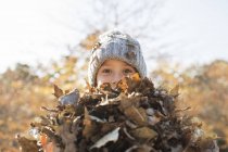 Retrato menino segurando monte de folhas de outono — Fotografia de Stock