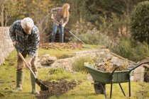 Gartenpaar erledigt Gartenarbeit beim Harken von Herbstblättern — Stockfoto