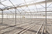 Irrigation pipes in empty greenhouse — Stock Photo