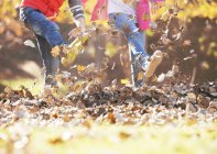 Imagen recortada de niño y niña pateando en hojas de otoño - foto de stock
