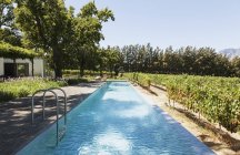 Розкішний басейн серед садів і виноградників — стокове фото