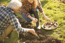 Couple gardening digging planting bulbs in sunny autumn garden — Stock Photo