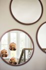 Reflection of copper pendant lights in round mirrors — Stock Photo