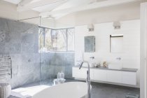 Вид на інтер'єр сучасної ванної кімнати — стокове фото