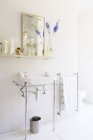 Lavello e specchio di casa rustica — Foto stock