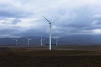 Ветроэлектростанция в долине, Андалусия, Испания — стоковое фото