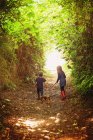 Мальчик и девочка брат и сестра выгуливают щенка по дорожке на деревьях — стоковое фото