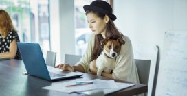Жінка тримає собаку і працює в офісі — стокове фото