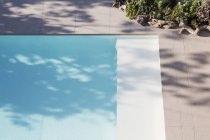 Sunny reflection of tree in blue swimming pool — Stock Photo