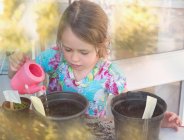 Menina molhando mudas em vasos com minúscula lata de água rosa — Fotografia de Stock