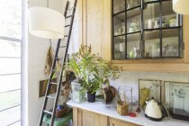 Ladder, plants and cabinets in rustic house — Stock Photo