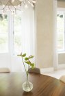 Anthurium Bouquet auf dem Tisch im Esszimmer — Stockfoto