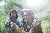 Schüler und Lehrer untersuchen Gras im Wald — Stockfoto