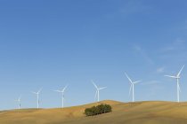 Ветрогенераторы на вершине холма в дневное время — стоковое фото
