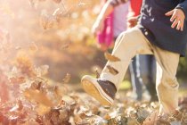 Imagem cortada de menino correndo e pulando em folhas de outono — Fotografia de Stock