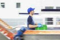 Arbeiter trägt Kiste in Lebensmittelverarbeitungsanlage — Stockfoto
