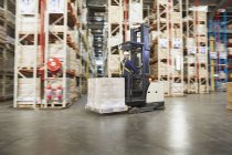 Worker operating forklift moving pallet of boxes in distribution warehouse — Stock Photo