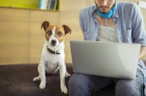 Dog sitting by man in office — Stock Photo