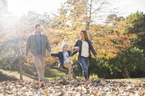 Familia cogida de la mano y caminando en hojas de otoño - foto de stock