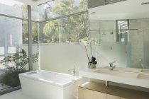 Sunny moderne tranquille maison vitrine salle de bains — Photo de stock