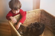 Мальчик ласкает кошку в корзине — стоковое фото
