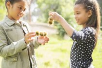 Children examining plants outdoors — Stock Photo