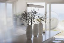 Flowers pots at luxury modern house — Stock Photo