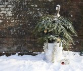 Рождественская елка в мусорном ведре на улице — стоковое фото
